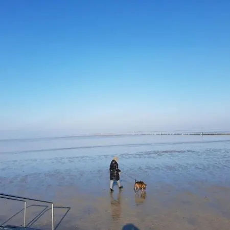 Strandgut Haushalfte - A46847 *